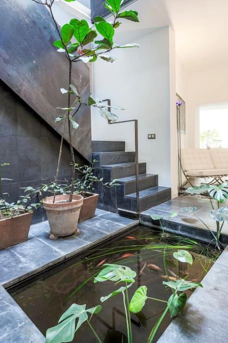 Elegante Duplex Centro Sevilla Matahacas 1 Exterior foto